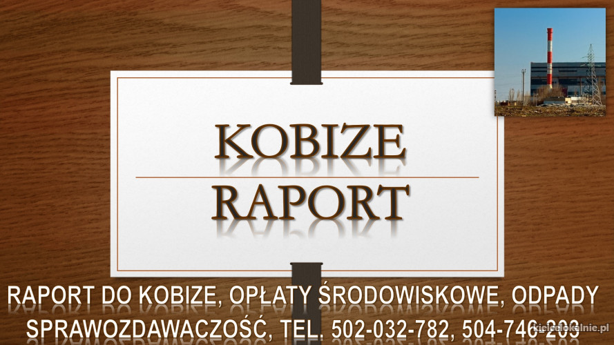 Sprawozdanie, raport, Kobize, tel. 502-032-782. Cennik, usługi